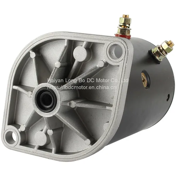 Powerful Heavy Duty Snow Plow Motor W-6294 by Long Bo Factory photo-2