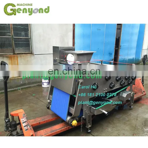 Custom Design Apple Belt Press Juice Machine photo-2