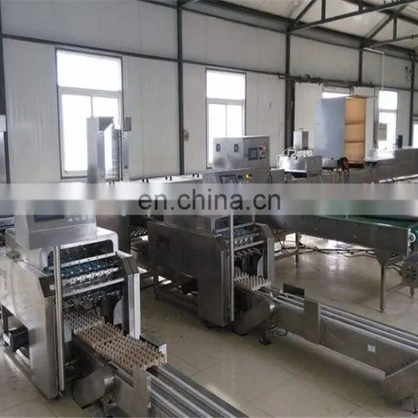 Factory Genyond Automatic Egg Washing Breaking Egg Liquid Pasteurization Making Machine Egg Powder Process Plant Production Line photo-4