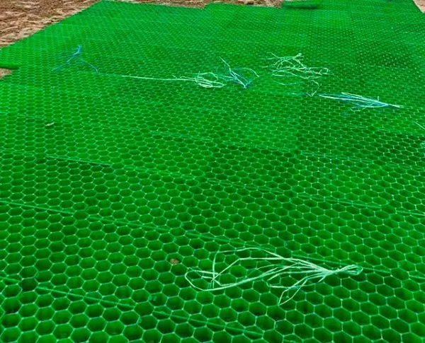 5cm7cm Flower Mouth Flat Mouth Grass Green Parking Lot Fire Lane Roof Garden Grass Planting Grid photo-5