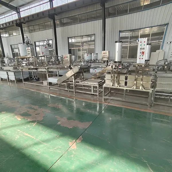 Fully Automatic Tofu Skin Production Line, One - Key Operation for Soy Products, Adjustable Thickness of Tofu Skin, Made of Stainless Steel photo-2