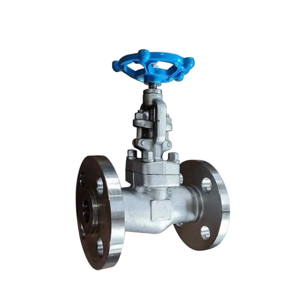 High Quality American Standard Stainless Steel Flange Check Valve photo-4