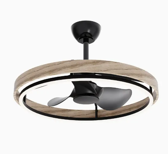 Ceiling Fan Light/variable Frequency Bedroom Fan Light（Wechat:13510231336） photo-3