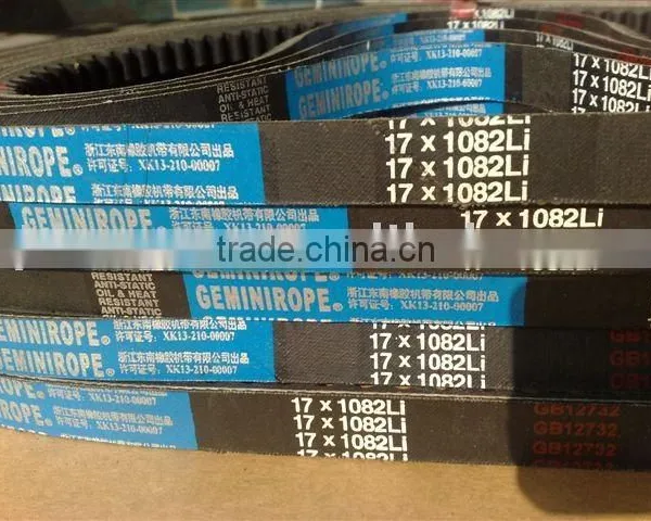 Automotive v Belt