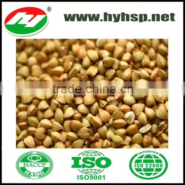 Buckwheat