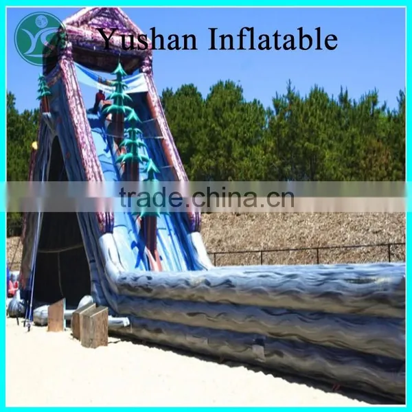 China Best Quality Adult Size Inflatable Water Slide photo-5