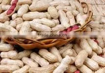 Huaxiaobao Peanut Variety Domination: Zhongkaihua 1