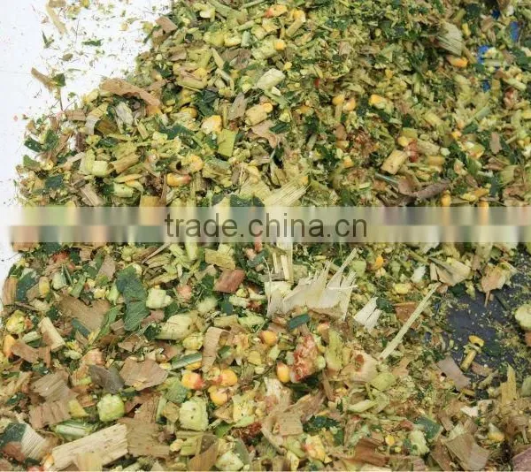 Corn Silage