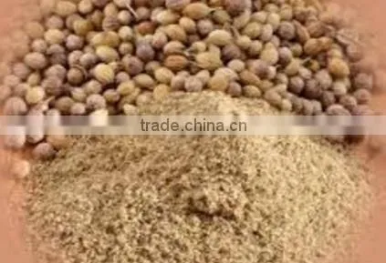 Coriander Whole & Powder