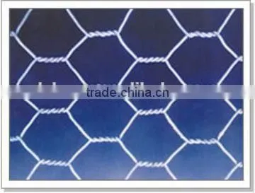 Best Price Electro Galvanized Hexagonal Wire Mesh photo-5