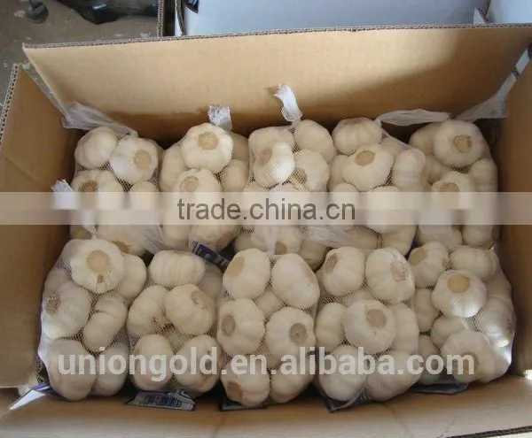 Chinese Fresh White Galic photo-2