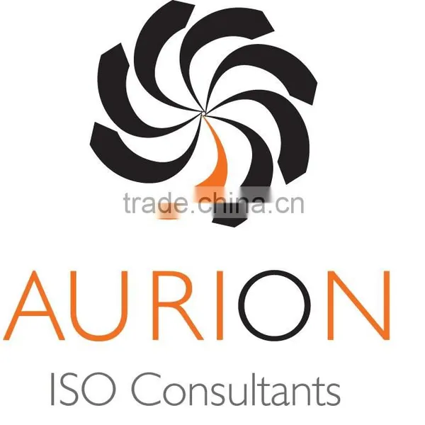ISO Consulting