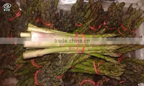 Asparagus