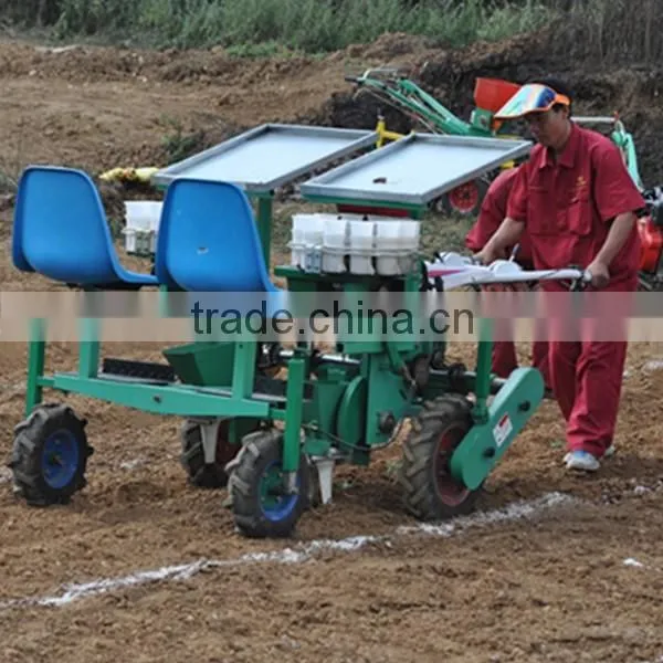 Two Row Transplanting Onions by Hand in China photo-2