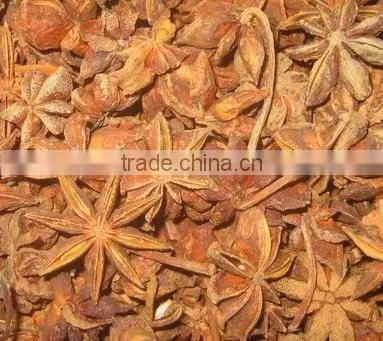 Star Aniseed