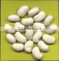 WHITE KIDNEY BEANS