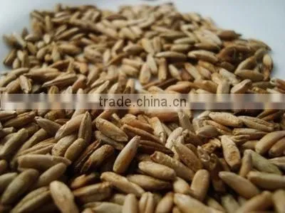 Oats, Rye and Rice Bran photo-2