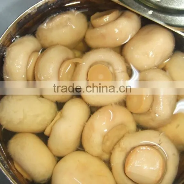 China Canned Mushrooms/canned Champignon/canned Shiitake Mushroom photo-2