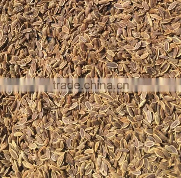 Dil Seeds