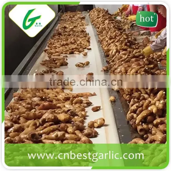 New Crop Fresh Ginger Air Dry Ginger Market Prices for Ginger photo-5