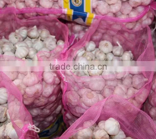 China Natural Fresh Garlic Price From Cold Storage photo-2