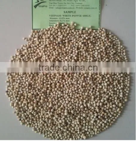 VINAPRO WHITE PEPPER 630G/L (+841657106604 - WHATSAPP) photo-2