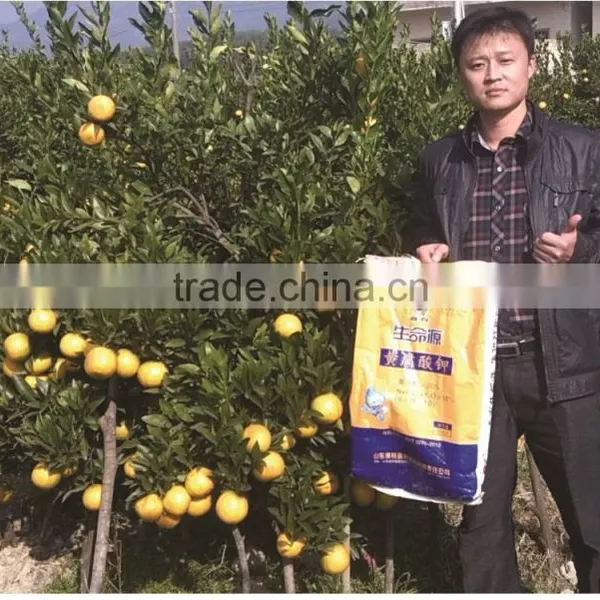 Fulvic Acid Fertilizer photo-4