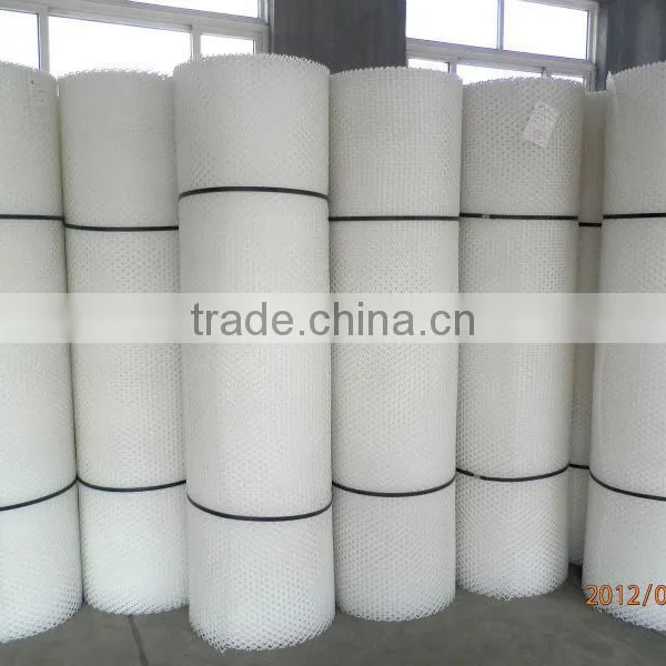 Plastic Netting for Poultry House