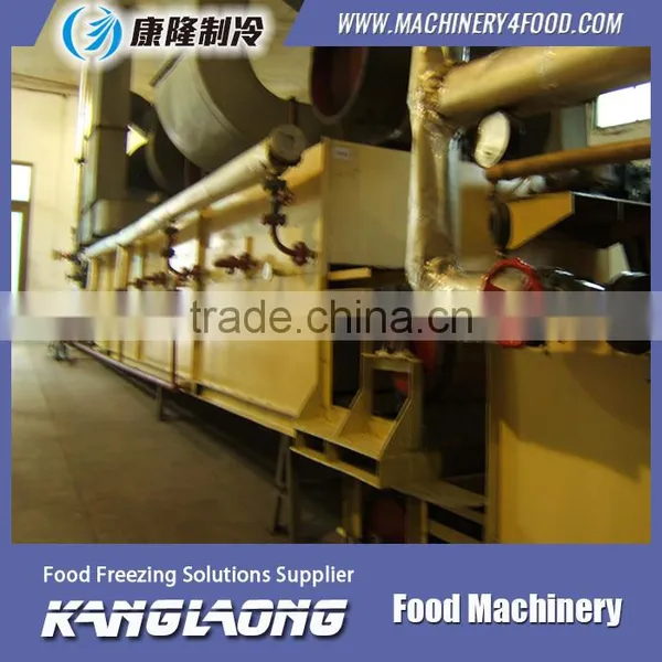 2000Kg/H Conveyor Belt Drying Machine photo-2