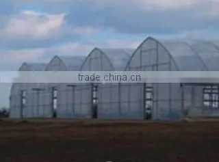 Gothic Arch Greenhouses Plastic Greenhouse Film photo-2