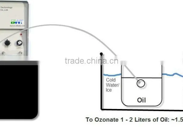 Multi Purpose Ozonizer Aquarium Air Stone 3000mg Laundry Ozone Generator for Water Tank photo-6