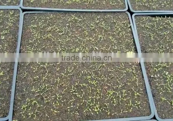 Gardening Supplies Seed Starter Trays photo-2