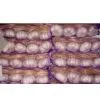 Braided Garlic