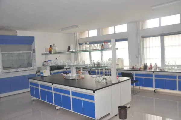 Ruishi New Material Technology Co.,ltd company overview - view 2