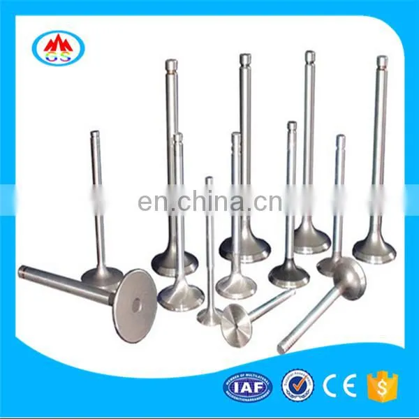 High Performance Car Spare Parts Engine Valve for Gonow GX6 E-mage photo-5