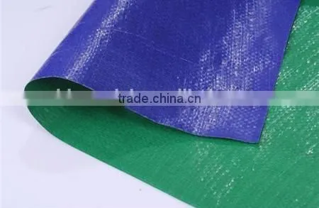Black Agricultural pe Tarpaulin Roll 170gsm photo-6
