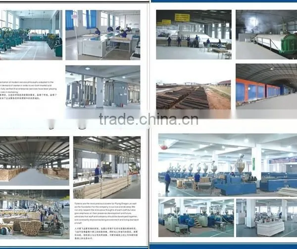 PVC Profile (Dentil Mould)Siding photo-3