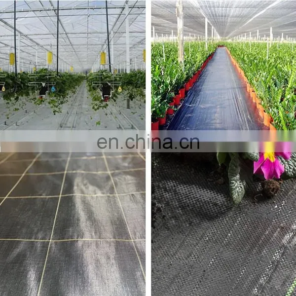 Manufacture 90-110gsm Direct PP Weed Mat Ground Cover Greenhouse Agriculture photo-5