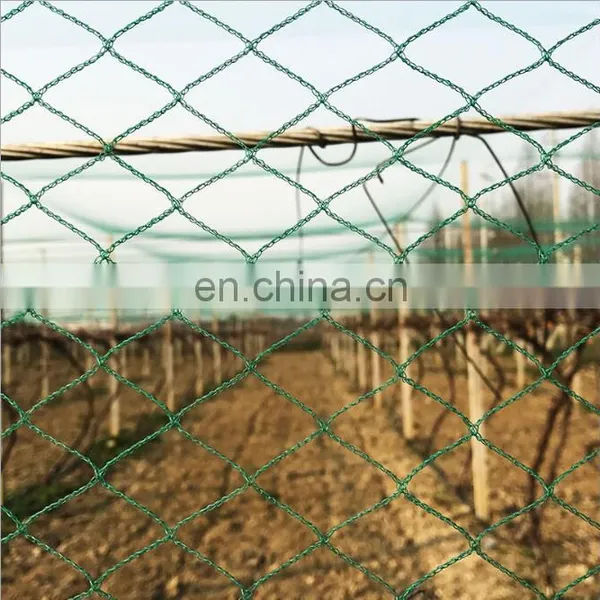 Free Sample Hdpe 50gsm Anti Hail Net photo-4