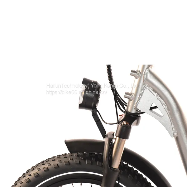 China Mid Drive Vintage Electric Bike for Sale/bicicleta Electrica Ebike /electric Bicycle From Factory photo-2