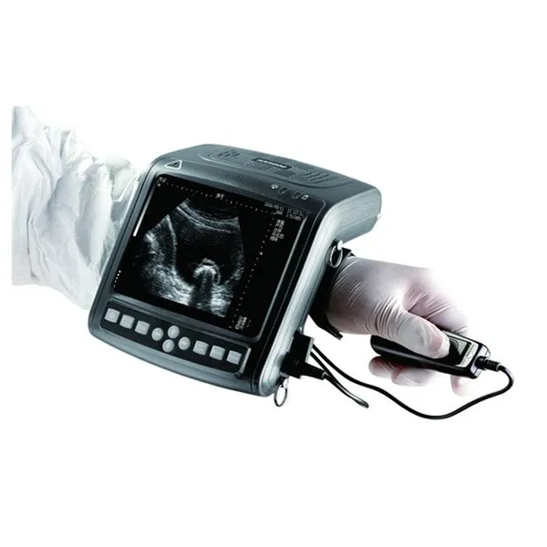 Veterinary Ultrasound Medical Vet Black and White Ultrasound Scanner With Rectal Probe photo-5