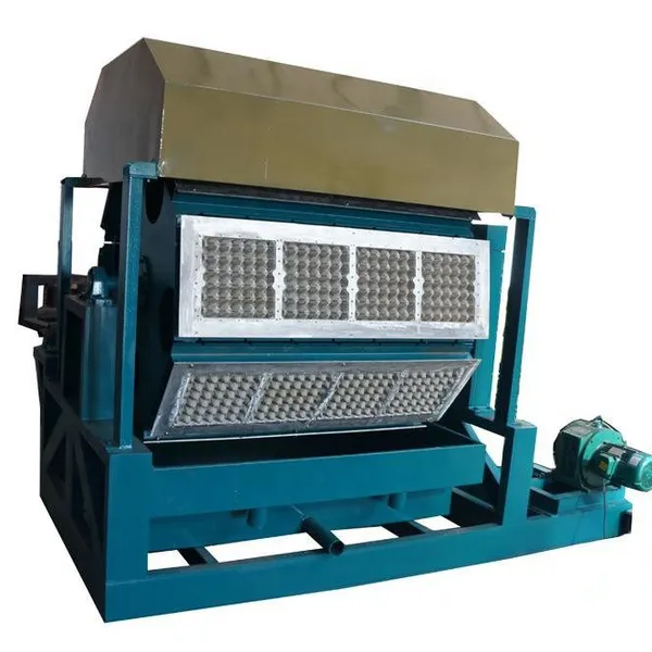 Eggs Packaging Machine Trays Eggs Production Line
