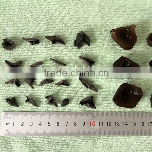 Factory Price Dried Black Fungus photo-2