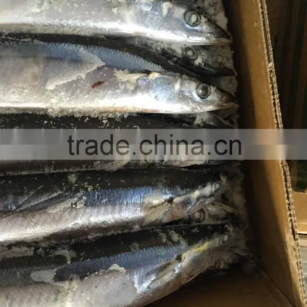 2015 Seafrozen Pacific Saury Whole Round 1#:120-140g/pc photo-3