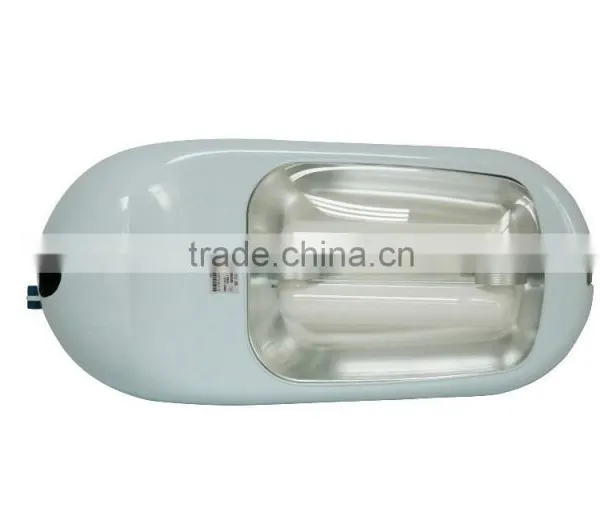 High Quality High Power Ip65 Induction Solar Street Light photo-3