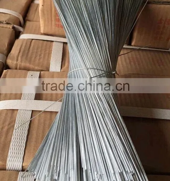 Galvanized Stainless Steel Straight Wire