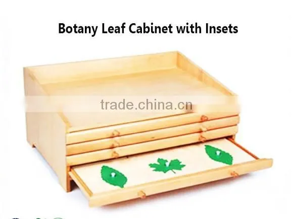 Montessori Materials Botany Leaf Cabinet With Insets/Montessori Educational Toys/Montessori Preschool Teaching Materials photo-2
