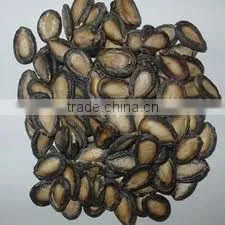 MELON SEEDS