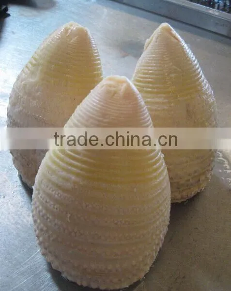Hot Sell High Quality Natural Water Canned Bamboo Shoot to European,South American,Africa photo-3