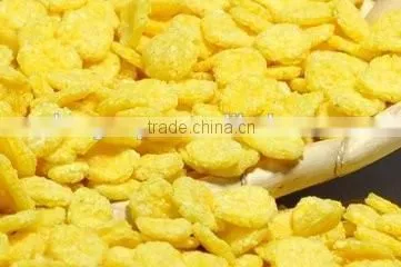 Automatic Wholesome Breakfast Cereal-Corn Flakes Production Line photo-5